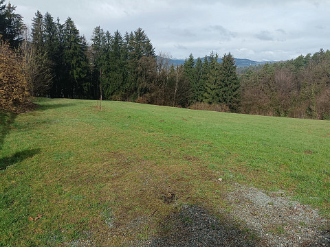 Kauf Grundstück Reichenhauser, Mitterlimberg