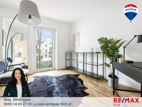 Buying a property in Viena
