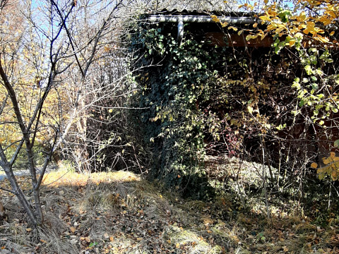 Ocjena