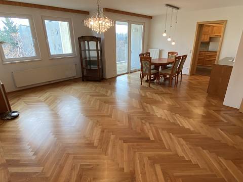 Wohnung Prießnitzgasse 8/8   1210. Wien