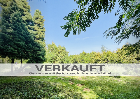 Kauf