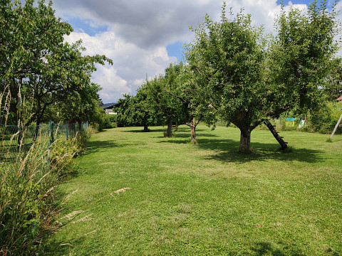 Hausverkauf Würflach Bungalow