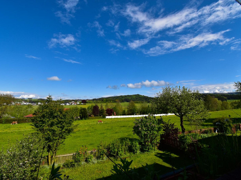 Ausblick -