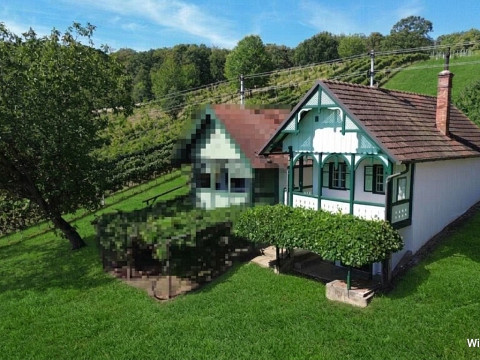 Charmantes Kellerstöckl mit Garten, Balkon & Fernblick im Pinkatal – Südburgenland