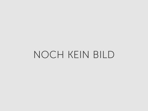 Geschäftslokal direkt im Zentrum von 3270 Scheibbs Geschäftslokal direkt im Zentrum von 3270 Scheibbs