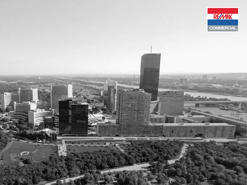 RE/MAX Commercial